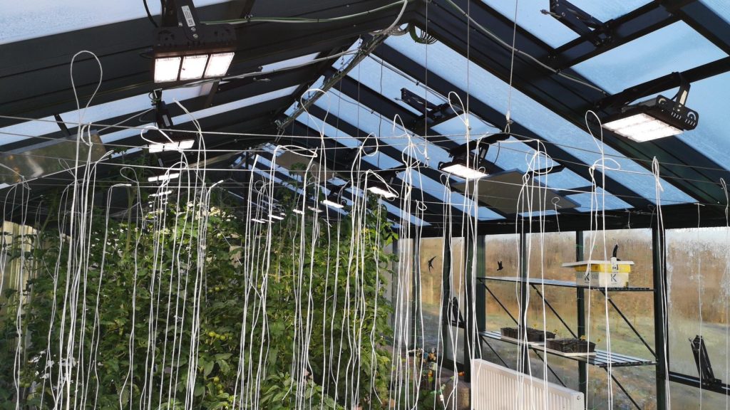Hobbi üvegház LED világítása – avagy zöldségtermelés minden évszakban 2 ledium black sparkle ledium led novenylampa teljes spektrummal – Ledium