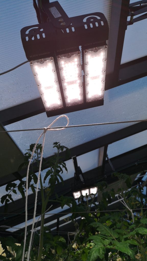 Hobbi üvegház LED világítása – avagy zöldségtermelés minden évszakban 4 teljes spektrumu novenynevelo lampa – Ledium